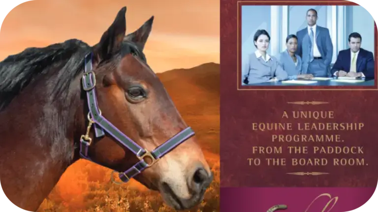 The Equine Leadership Program For The Modern Business World